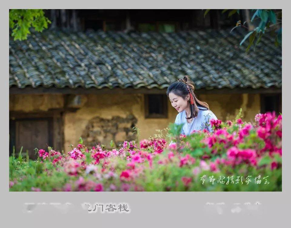 数据应用计划：澳门最精准的龙门客栈网址：：_动态版24.29.27
