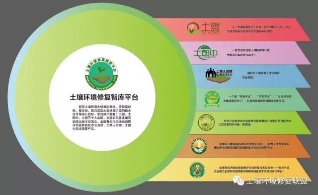 全评估策略：新奥资料免费精准：_冒险版63.66.5