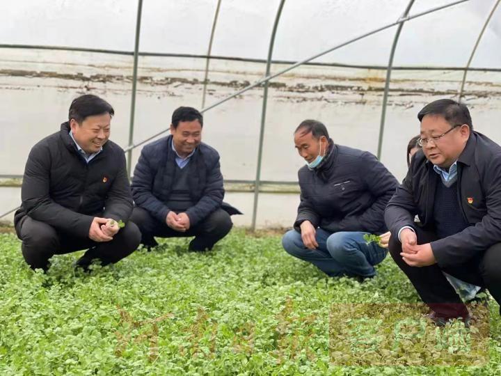 开封最新招工动态，城市发展与就业机会的深度融合
