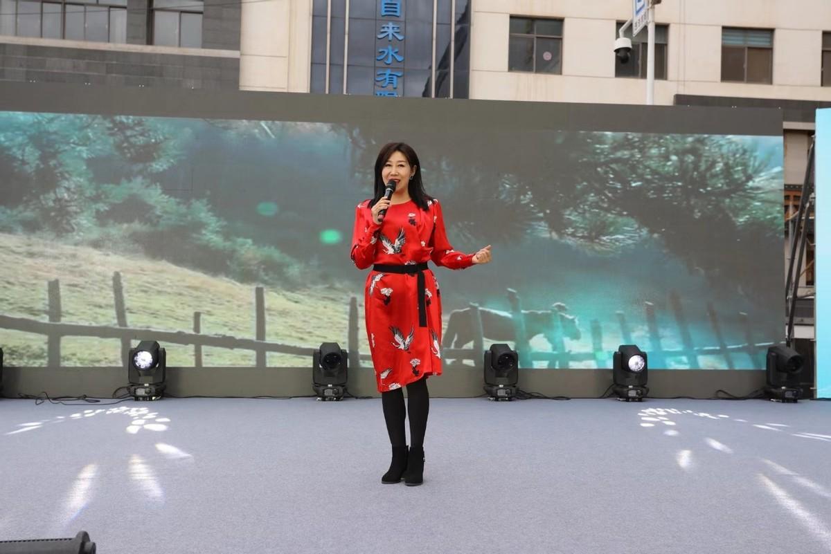 2023新澳门天天开好彩,迅速解答解释落实_网页版24.64
