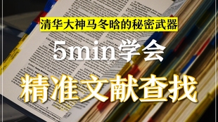 2024新澳资料集：免费正版解析，CED878.04标准版深度解读