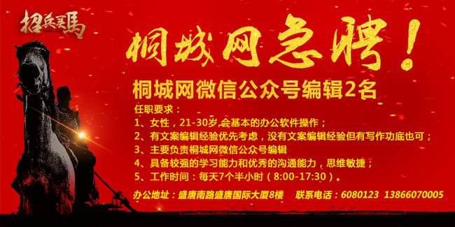 嘉兴最新招聘，小城求职奇遇与友情的绽放旅程