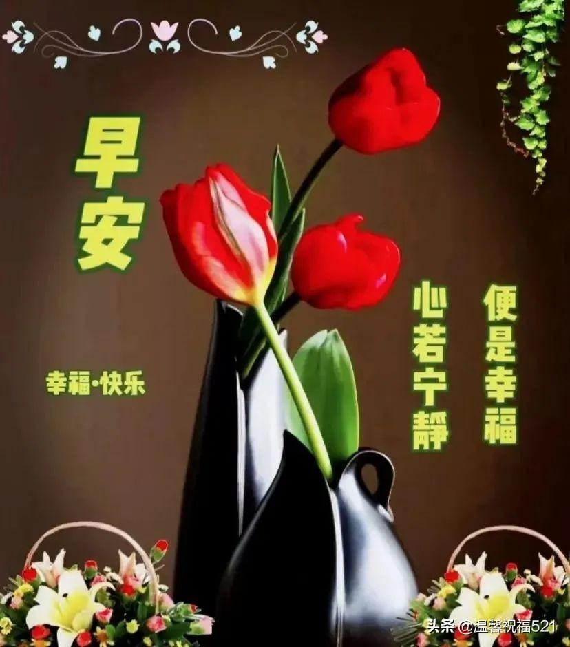 滴滴最新版本，探索自然美景之旅，重拾内心的宁静与平和