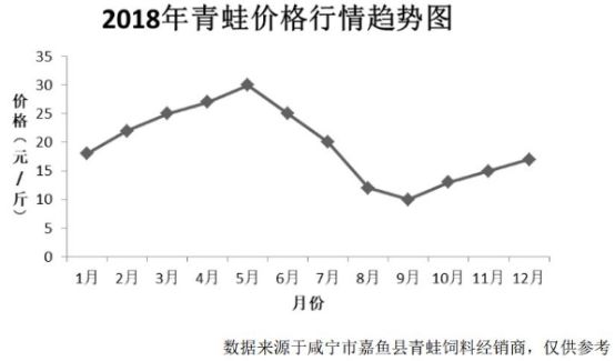牛蛙最新价格走势，市场信心的跃动与励志成长故事