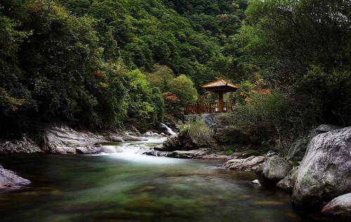 海贼王最新动态，拥抱自然之旅，启程心灵冒险之旅