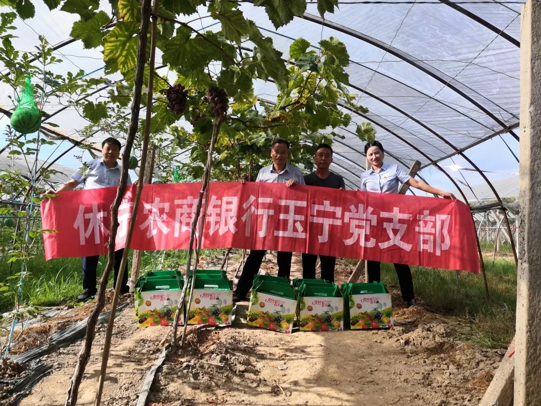 最新果贷，学习变化的力量，成就梦想之果