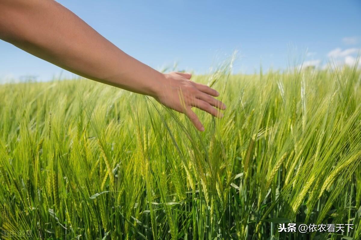 玻璃钢消防水箱 第235页