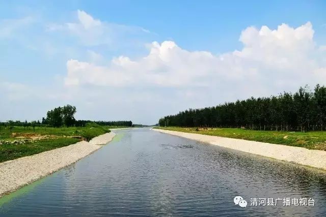 清河最新进展，涓涓细流汇聚成海，学习变革展现宏图