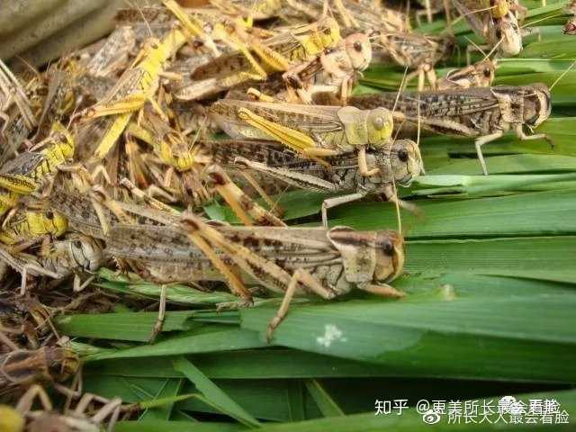 模压玻璃钢水箱 第109页