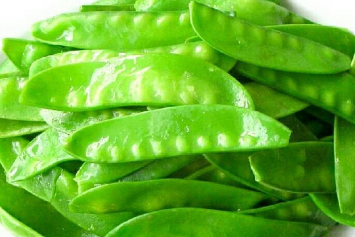 小巷深处的最新豌豆秘境