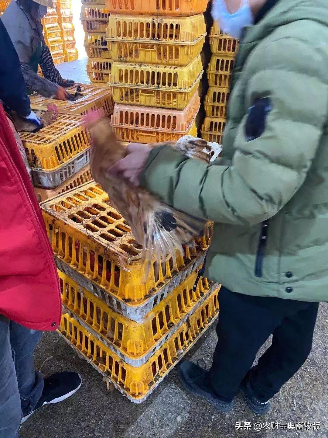 模压玻璃钢水箱 第48页