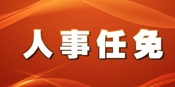 何波生最新人事任免，时代的领航者与变革印记