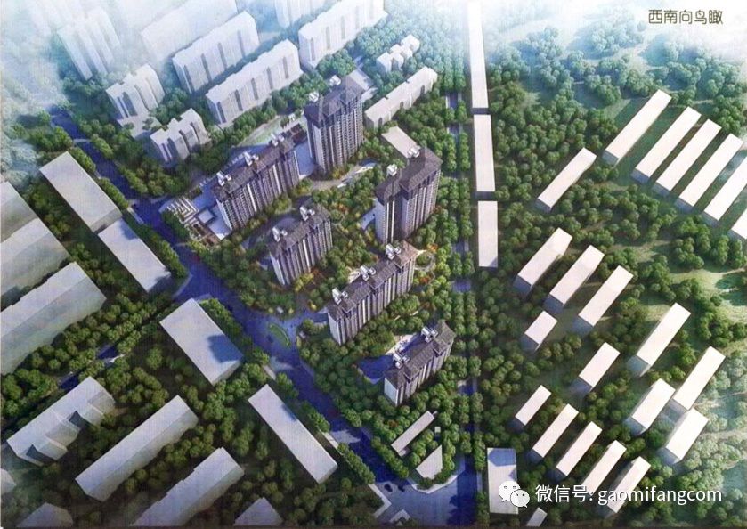 高密梓潼家园最新消息全解析，获取指南与初学者进阶教程