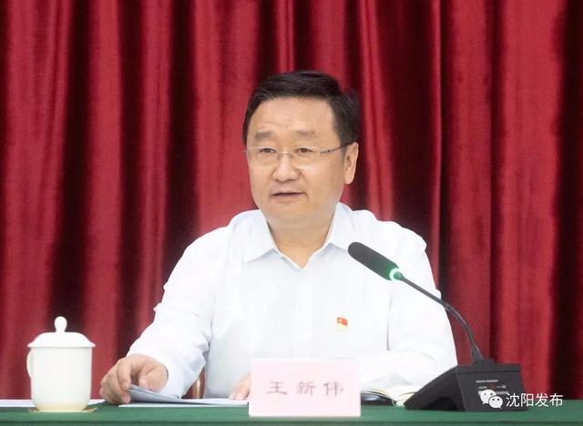 沈阳市委常委名单最新公布，观点分析与深度解读