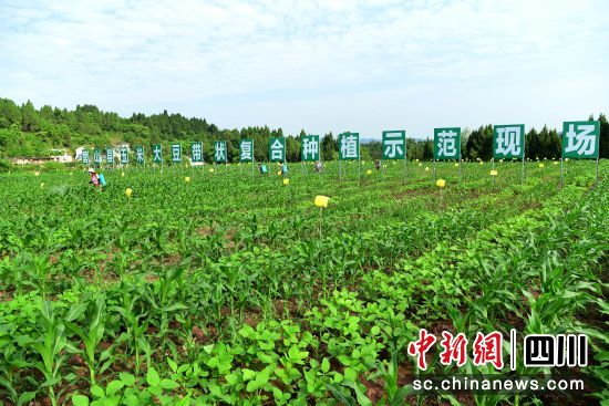 营山木垭镇街道最新图，自然美景的探索之旅