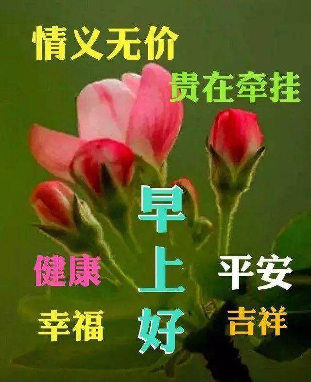 最新早上好表情图，开启美好一天的必备问候方式