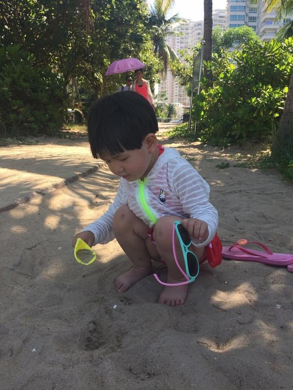 鱼跃医疗股票最新动态，心灵与自然的奇妙旅行
