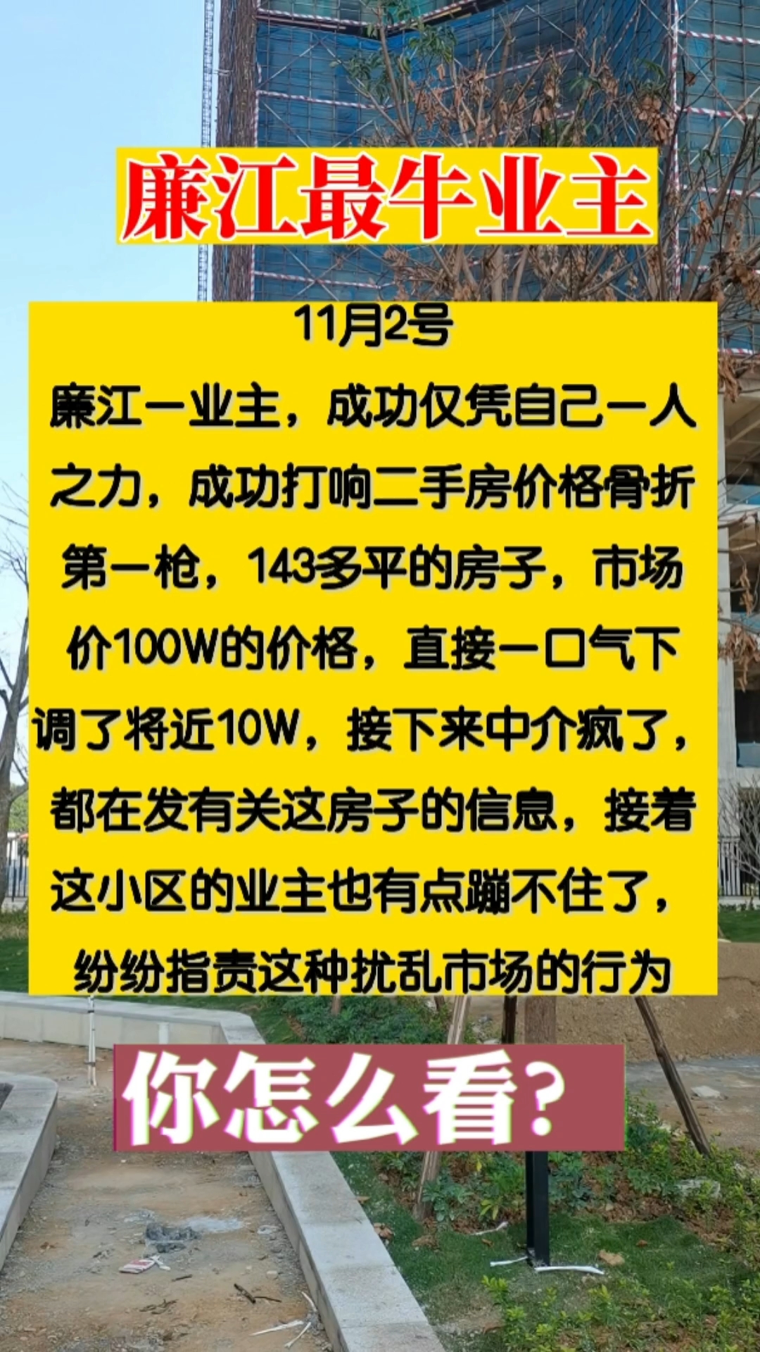廉江一手房最新价格详解