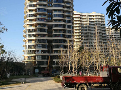 温州金海首府最新动态，变化中的力量铸就自信与成就，学习引领未来